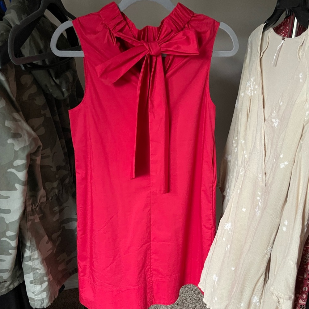 1901 dress NWOT